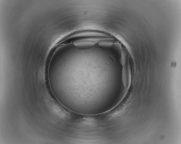 X0000092010391200709061537
