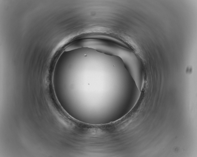 X0000092010392200709061537