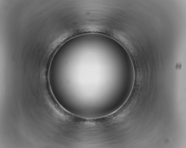 X0000092010394200709061537