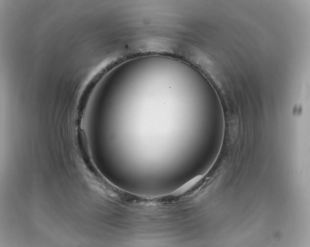 X0000092010395200709061537