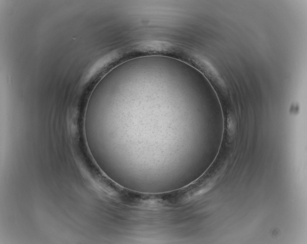 X0000092010396200709061537