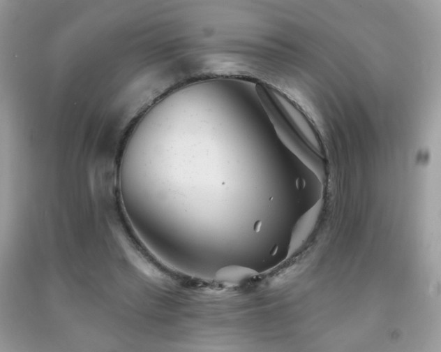 X0000092010397200709061537