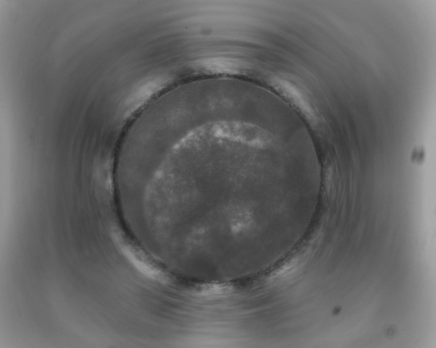 X0000092010398200709061537