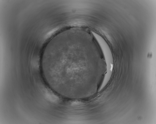 X0000092010400200709061537