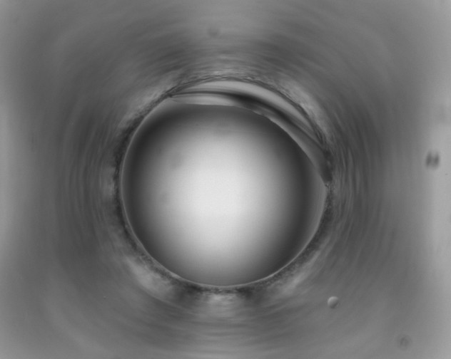X0000092010401200709061537
