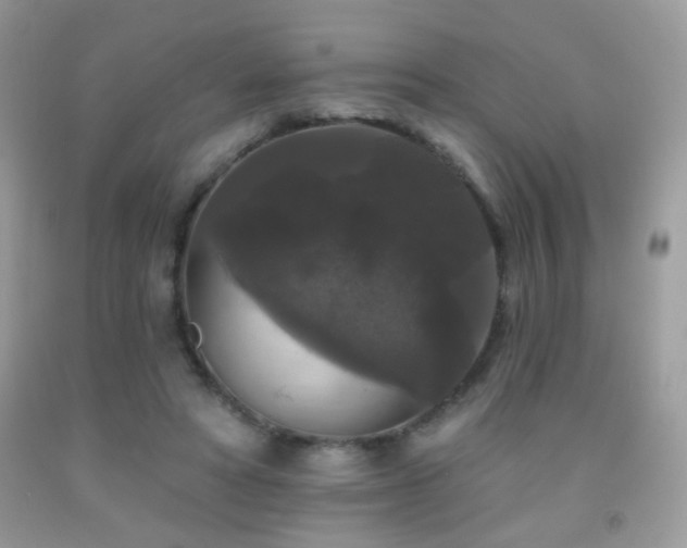 X0000092010402200709061537