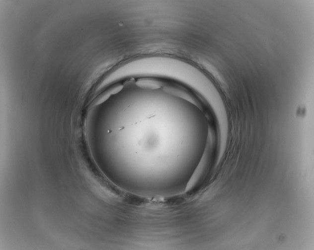 X0000092010403200709061537