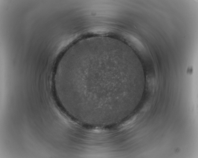 X0000092010404200709061537