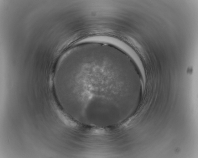 X0000092010405200709061537