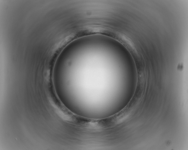 X0000092010406200709061537