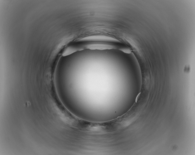 X0000092010407200709061536