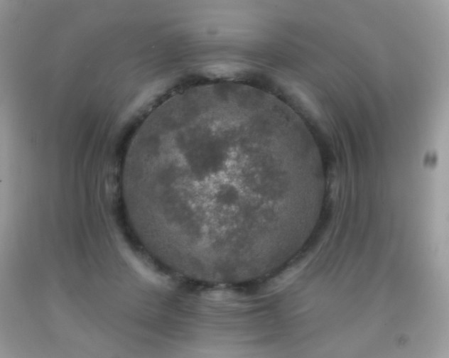 X0000092010408200709061536