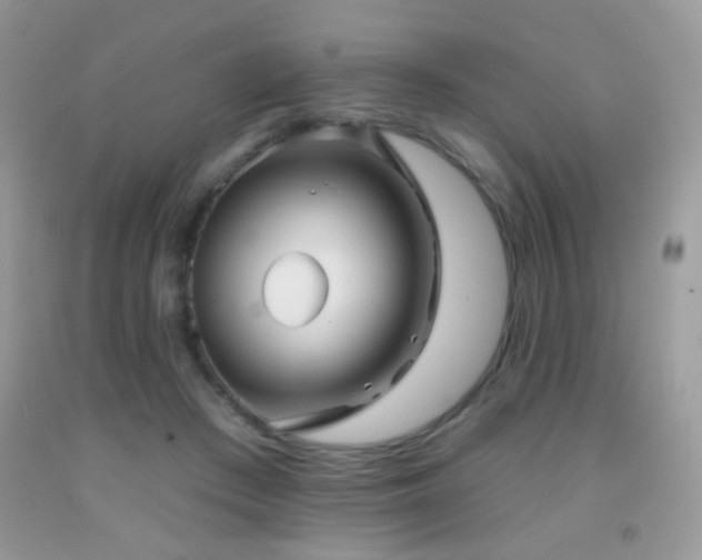 X0000092010409200709061536
