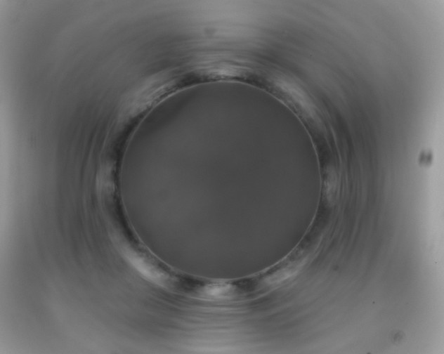 X0000092010410200709061536