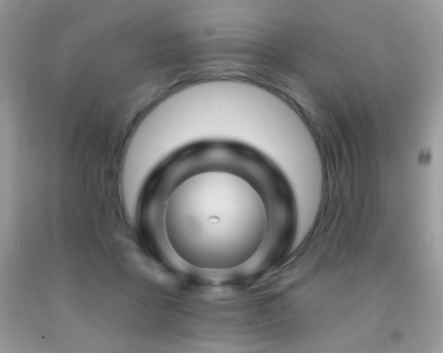 X0000092010411200709061536