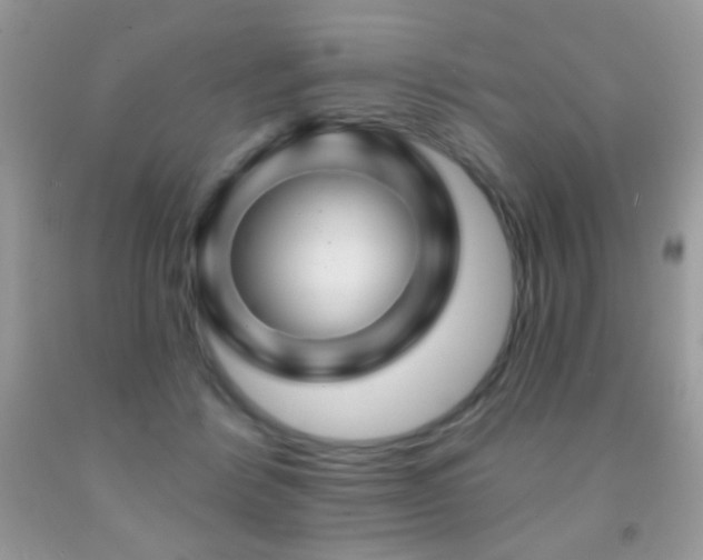 X0000092010412200709061536