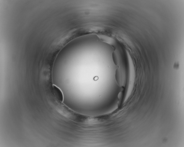 X0000092010413200709061536
