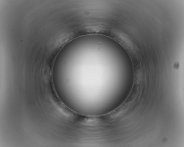 X0000092010414200709061536