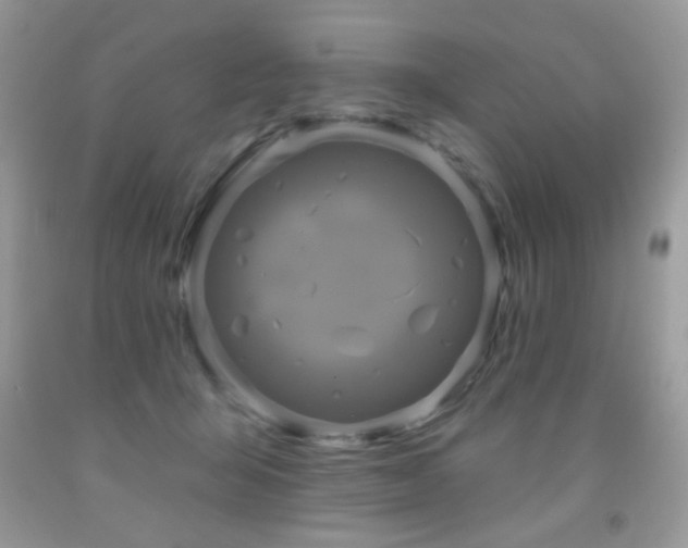 X0000092010415200709061536