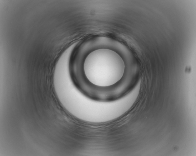 X0000092010416200709061536