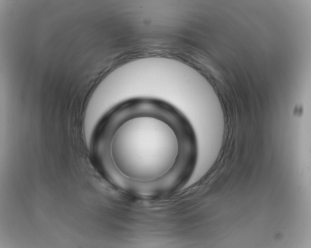 X0000092010417200709061536