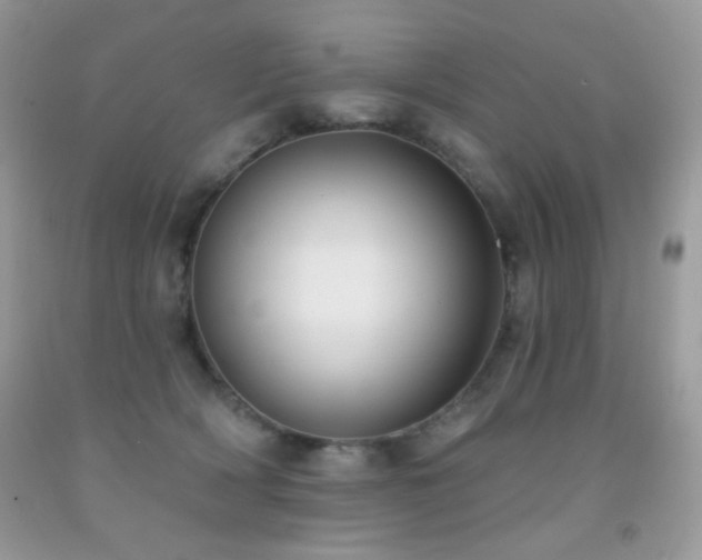 X0000092010418200709061536