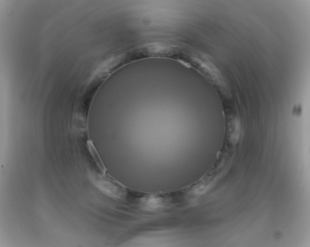 X0000092010419200709061536