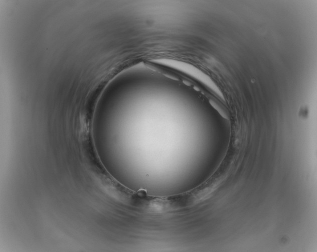 X0000092010420200709061536