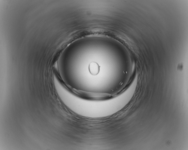 X0000092010421200709061536