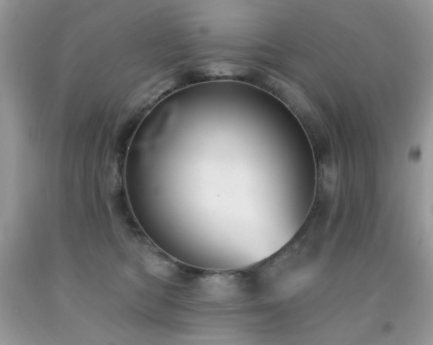 X0000092010422200709061536