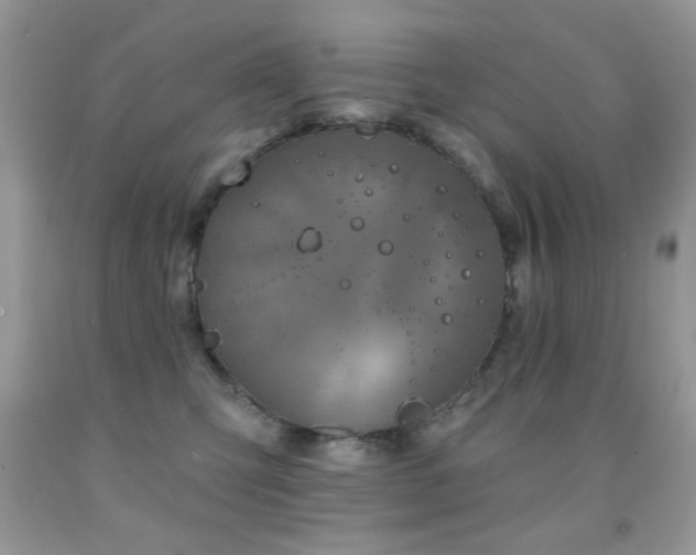X0000092010423200709061536
