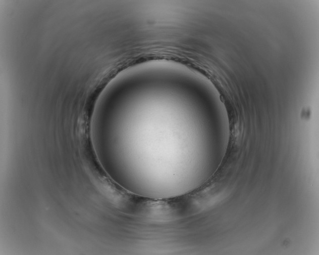 X0000092010424200709061536