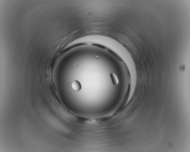 X0000092010425200709061536