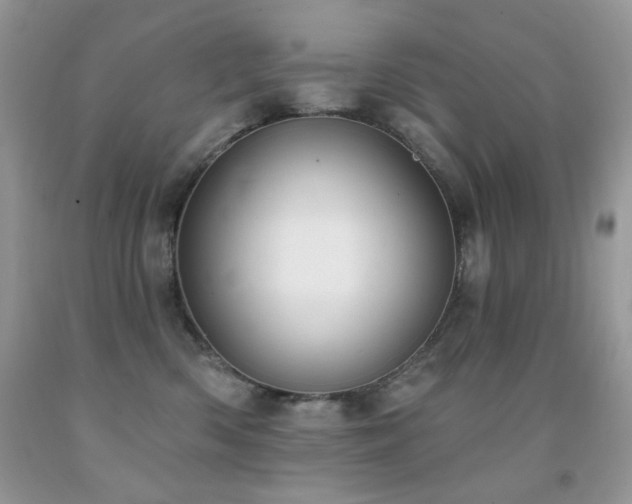 X0000092010426200709061536