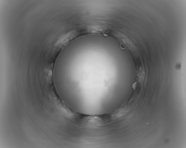 X0000092010427200709061536