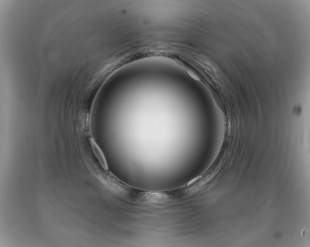 X0000092010429200709061536