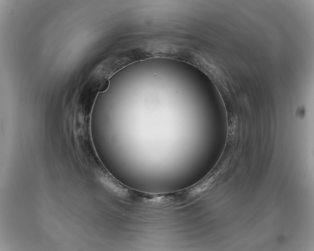X0000092010430200709061536