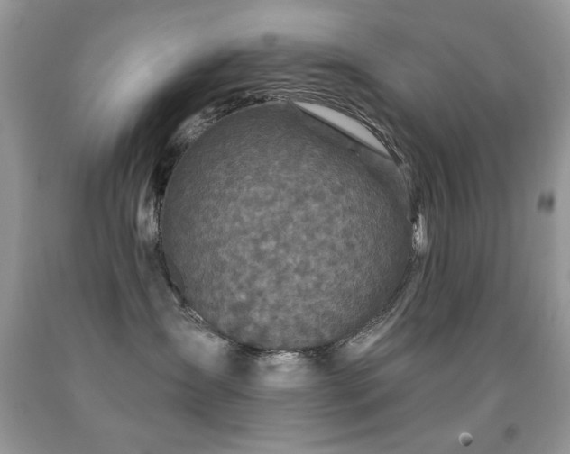 X0000092010431200709061536
