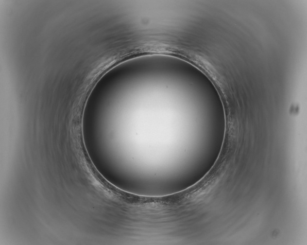 X0000092010433200709061535