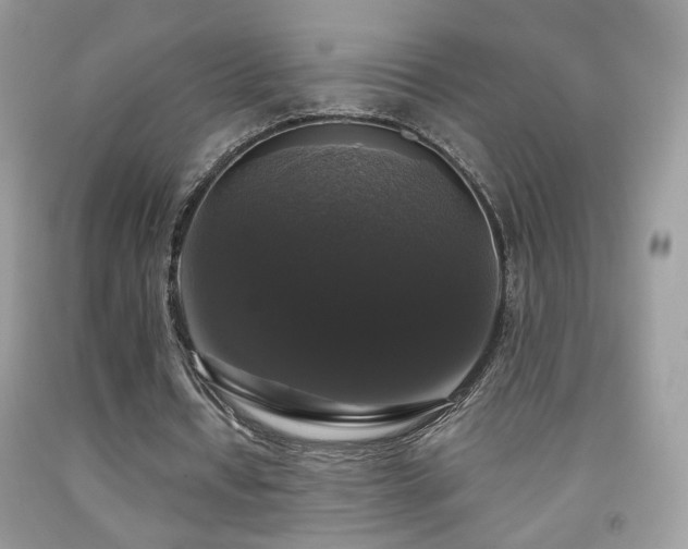 X0000092010434200709061535