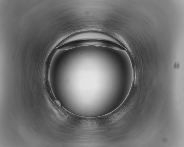 X0000092010435200709061535
