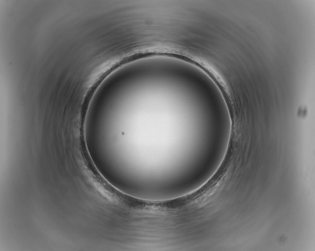 X0000092010437200709061535