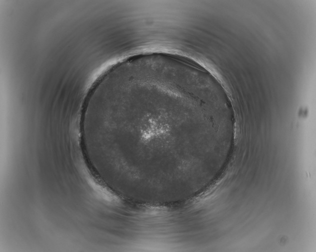 X0000092010438200709061535