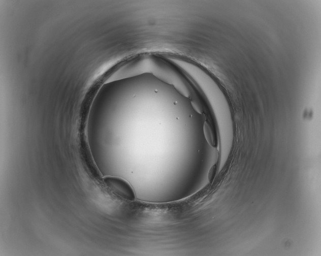 X0000092010440200709061535