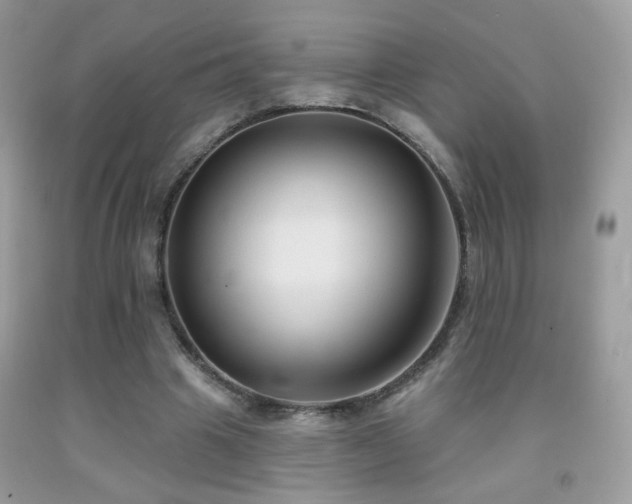 X0000092010441200709061536