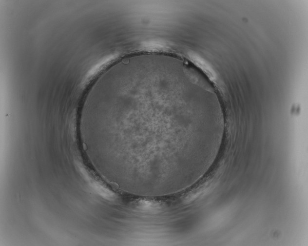 X0000092010442200709061536