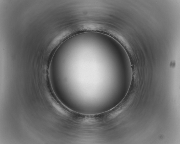 X0000092010445200709061536