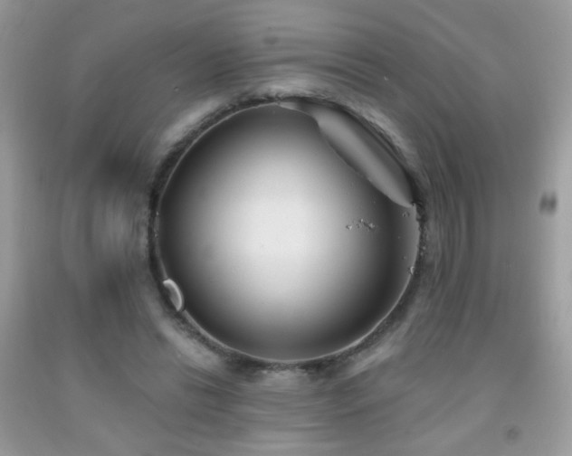 X0000092010446200709061536