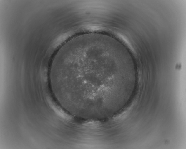 X0000092010447200709061536