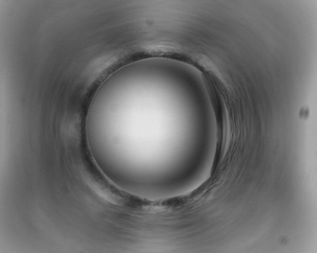 X0000092010448200709061536
